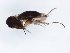  ( - TSZD-JKJ-101592)  @11 [ ] CreativeCommons - Attribution Non-Commercial Share-Alike (2016) Unspecified Tromso University Museum