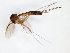  ( - TSZD-JKJ-101634)  @12 [ ] CreativeCommons - Attribution Non-Commercial Share-Alike (2016) Unspecified Tromso University Museum