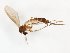  ( - TSZD-JKJ-101675)  @13 [ ] CreativeCommons - Attribution Non-Commercial Share-Alike (2016) Unspecified Tromso University Museum