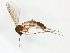  ( - TSZD-JKJ-101675)  @13 [ ] CreativeCommons - Attribution Non-Commercial Share-Alike (2016) Unspecified Tromso University Museum