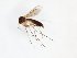  ( - TSZD-JKJ-101682)  @12 [ ] CreativeCommons - Attribution Non-Commercial Share-Alike (2016) Unspecified Tromso University Museum
