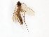  ( - TSZD-JKJ-101698)  @11 [ ] CreativeCommons - Attribution Non-Commercial Share-Alike (2016) Unspecified Tromso University Museum