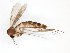  ( - TSZD-JKJ-101710)  @11 [ ] CreativeCommons - Attribution Non-Commercial Share-Alike (2016) Unspecified Tromso University Museum