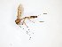  ( - TSZD-JKJ-101711)  @11 [ ] CreativeCommons - Attribution Non-Commercial Share-Alike (2016) Unspecified Tromso University Museum