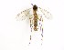  ( - TSZD-JKJ-101736)  @11 [ ] CreativeCommons - Attribution Non-Commercial Share-Alike (2016) Unspecified Tromso University Museum