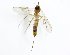  ( - TSZD-JKJ-101737)  @12 [ ] CreativeCommons - Attribution Non-Commercial Share-Alike (2016) Unspecified Tromso University Museum