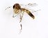 ( - TSZD-JKJ-101745)  @13 [ ] CreativeCommons - Attribution Non-Commercial Share-Alike (2016) Unspecified Tromso University Museum