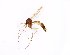  ( - TSZD-JKJ-101754)  @11 [ ] CreativeCommons - Attribution Non-Commercial Share-Alike (2016) Unspecified Tromso University Museum