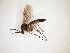  ( - TSZD-JKJ-101771)  @11 [ ] CreativeCommons - Attribution Non-Commercial Share-Alike (2016) Unspecified Tromso University Museum