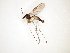 ( - TSZD-JKJ-101790)  @11 [ ] CreativeCommons - Attribution Non-Commercial Share-Alike (2016) Unspecified Tromso University Museum