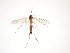  ( - TSZD-JKJ-101832)  @11 [ ] CreativeCommons - Attribution Non-Commercial Share-Alike (2016) Unspecified Tromso University Museum