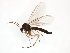  ( - TSZD-JKJ-101838)  @11 [ ] CreativeCommons - Attribution Non-Commercial Share-Alike (2016) Unspecified Tromso University Museum