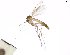  ( - TSZD-JKJ-102092)  @14 [ ] CreativeCommons - Attribution Non-Commercial Share-Alike (2016) Unspecified Tromsø University Museum