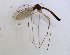  ( - TSZD-JKJ-102285)  @12 [ ] CreativeCommons - Attribution Non-Commercial Share-Alike (2016) Unspecified Tromsø University Museum