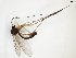  ( - TSZD-JKJ-102318)  @11 [ ] CreativeCommons - Attribution Non-Commercial Share-Alike (2016) Unspecified Tromsø University Museum