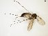  ( - TSZD-JKJ-102334)  @12 [ ] CreativeCommons - Attribution Non-Commercial Share-Alike (2016) Unspecified Tromsø University Museum