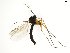  ( - TSZD-JKJ-102402)  @11 [ ] CreativeCommons - Attribution Non-Commercial Share-Alike (2016) Unspecified Tromsø University Museum