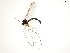  ( - TSZD-JKJ-102407)  @11 [ ] CreativeCommons - Attribution Non-Commercial Share-Alike (2016) Unspecified Tromsø University Museum