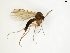  (Trichonta JKJ-spA - TSZD-JKJ-102410)  @11 [ ] CreativeCommons - Attribution Non-Commercial Share-Alike (2016) Unspecified Tromsø University Museum