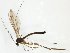 ( - TSZD-JKJ-102494)  @13 [ ] CreativeCommons - Attribution Non-Commercial Share-Alike (2016) Unspecified Tromsø University Museum