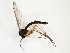  ( - TSZD-JKJ-102520)  @13 [ ] CreativeCommons - Attribution Non-Commercial Share-Alike (2016) Unspecified Tromsø University Museum