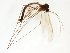  ( - TSZD-JKJ-102548)  @12 [ ] CreativeCommons - Attribution Non-Commercial Share-Alike (2016) Unspecified Tromsø University Museum
