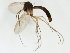  ( - TSZD-JKJ-102581)  @11 [ ] CreativeCommons - Attribution Non-Commercial Share-Alike (2016) Unspecified Tromsø University Museum