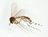  ( - TSZD-JKJ-102599)  @11 [ ] CreativeCommons - Attribution Non-Commercial Share-Alike (2016) Unspecified Tromsø University Museum