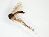  ( - TSZD-JKJ-102647)  @11 [ ] CreativeCommons - Attribution Non-Commercial Share-Alike (2016) Unspecified Tromsø University Museum