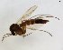  ( - TSZD-JKJ-102660)  @11 [ ] CreativeCommons - Attribution Non-Commercial Share-Alike (2017) Unspecified Tromsø University Museum