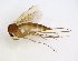  ( - TSZD-JKJ-102671)  @11 [ ] CreativeCommons - Attribution Non-Commercial Share-Alike (2017) Unspecified Tromsø University Museum