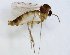  ( - TSZD-JKJ-102684)  @13 [ ] CreativeCommons - Attribution Non-Commercial Share-Alike (2017) Unspecified Tromsø University Museum