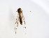  ( - TSZD-JKJ-102691)  @11 [ ] CreativeCommons - Attribution Non-Commercial Share-Alike (2017) Unspecified Tromsø University Museum