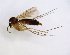  ( - TSZD-JKJ-102697)  @13 [ ] CreativeCommons - Attribution Non-Commercial Share-Alike (2017) Unspecified Tromsø University Museum