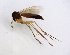  ( - TSZD-JKJ-102705)  @13 [ ] CreativeCommons - Attribution Non-Commercial Share-Alike (2017) Unspecified Tromsø University Museum