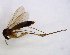  ( - TSZD-JKJ-102711)  @13 [ ] CreativeCommons - Attribution Non-Commercial Share-Alike (2017) Unspecified Tromsø University Museum