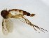  ( - TSZD-JKJ-102723)  @11 [ ] CreativeCommons - Attribution Non-Commercial Share-Alike (2017) Unspecified Tromsø University Museum