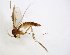  ( - TSZD-JKJ-102729)  @11 [ ] CreativeCommons - Attribution Non-Commercial Share-Alike (2017) Unspecified Tromsø University Museum