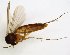  ( - TSZD-JKJ-102738)  @11 [ ] CreativeCommons - Attribution Non-Commercial Share-Alike (2017) Unspecified Tromsø University Museum