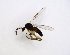  ( - TSZD-JKJ-102754)  @11 [ ] CreativeCommons - Attribution Non-Commercial Share-Alike (2017) Unspecified Tromsø University Museum