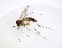  ( - TSZD-JKJ-102760)  @11 [ ] CreativeCommons - Attribution Non-Commercial Share-Alike (2017) Unspecified Tromsø University Museum