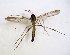 ( - TSZD-JKJ-102773)  @11 [ ] CreativeCommons - Attribution Non-Commercial Share-Alike (2017) Unspecified Tromsø University Museum