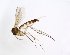  ( - TSZD-JKJ-102786)  @11 [ ] CreativeCommons - Attribution Non-Commercial Share-Alike (2017) Unspecified Tromsø University Museum