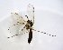  ( - TSZD-JKJ-102817)  @11 [ ] CreativeCommons - Attribution Non-Commercial Share-Alike (2017) Unspecified Tromsø University Museum