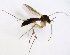  ( - TSZD-JKJ-102825)  @11 [ ] CreativeCommons - Attribution Non-Commercial Share-Alike (2017) Unspecified Tromsø University Museum