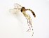  ( - TSZD-JKJ-102832)  @11 [ ] CreativeCommons - Attribution Non-Commercial Share-Alike (2017) Unspecified Tromsø University Museum