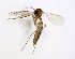  ( - TSZD-JKJ-102840)  @11 [ ] CreativeCommons - Attribution Non-Commercial Share-Alike (2017) Unspecified Tromsø University Museum