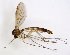  ( - TSZD-JKJ-102863)  @11 [ ] CreativeCommons - Attribution Non-Commercial Share-Alike (2017) Unspecified Tromsø University Museum
