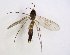  ( - TSZD-JKJ-102868)  @11 [ ] CreativeCommons - Attribution Non-Commercial Share-Alike (2017) Unspecified Tromsø University Museum
