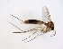  ( - TSZD-JKJ-102873)  @11 [ ] CreativeCommons - Attribution Non-Commercial Share-Alike (2017) Unspecified Tromsø University Museum